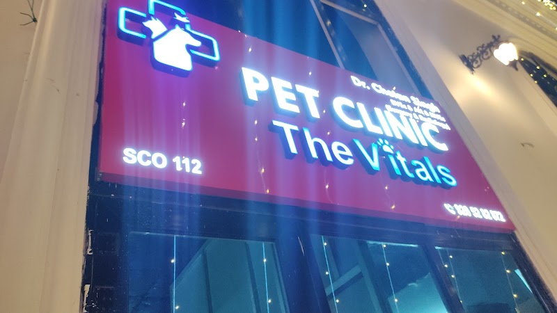 The Vitals pet clinic