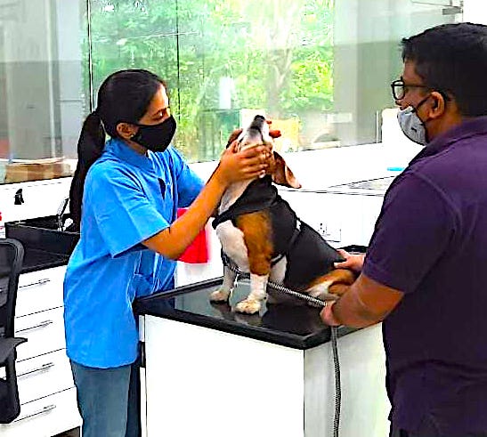 Cessna Lifeline Veterinary Hospital, Navi Mumbai