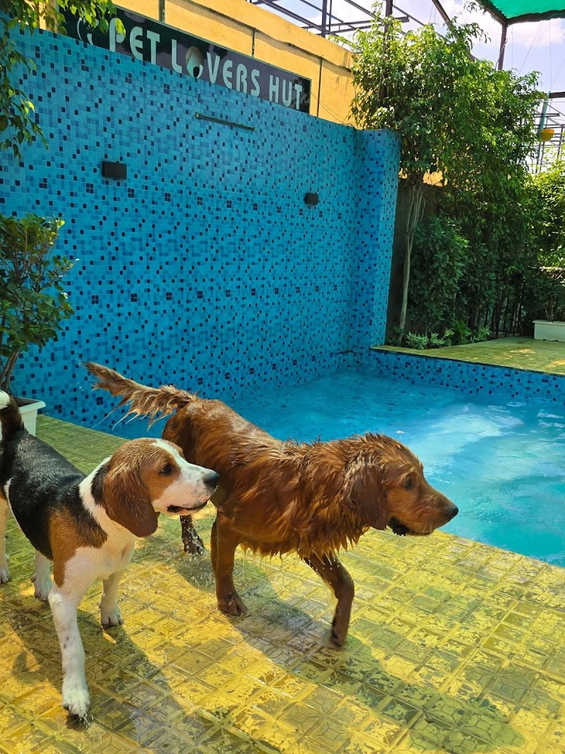 Satcura Pet Service