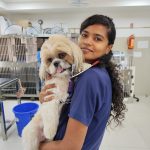 Vision Vet Life Clinic