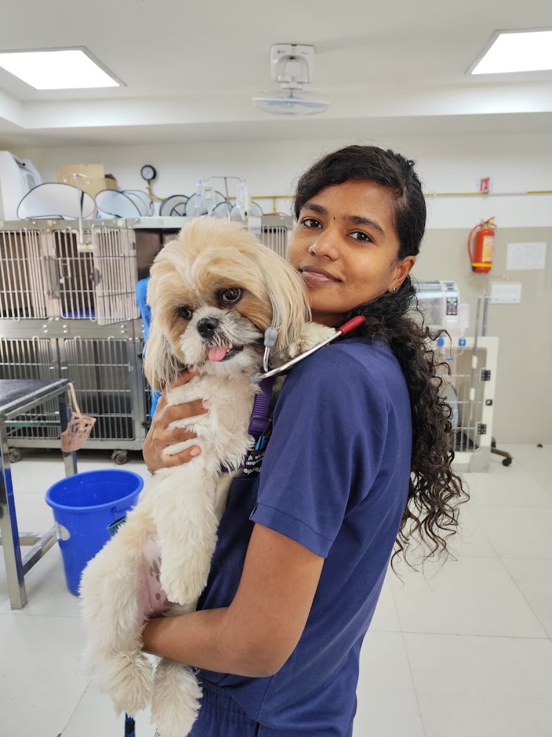 Vision Vet Life Clinic