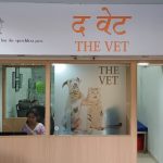 THE VET