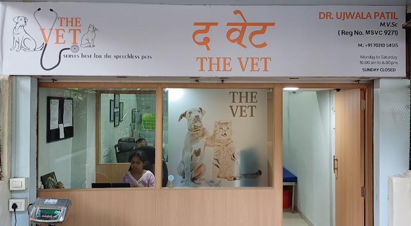 THE VET