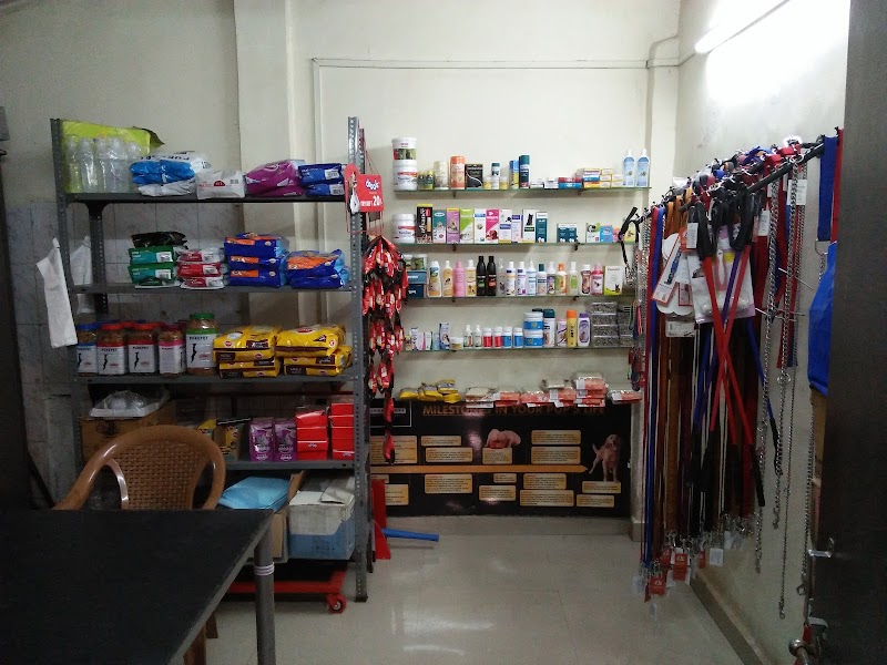 Dr Anils Pet Animal Clinic JVLR