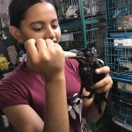 HELP Animals & Birds Hospital