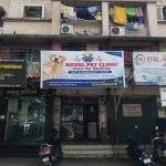 Royal pet clinic