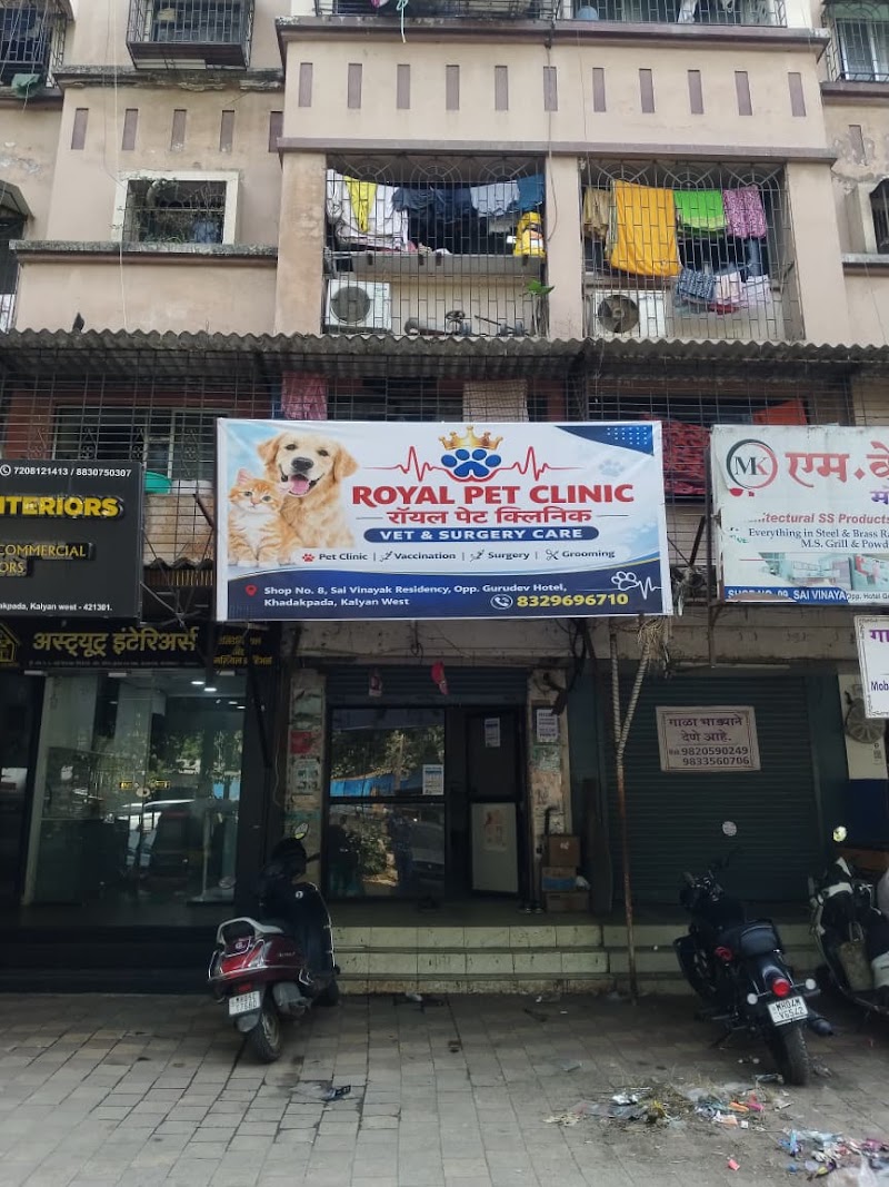 Royal pet clinic