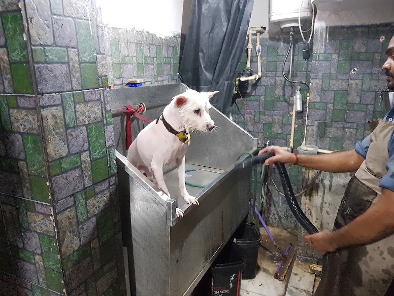 PET SPACE – ANIMAL HOSPITAL