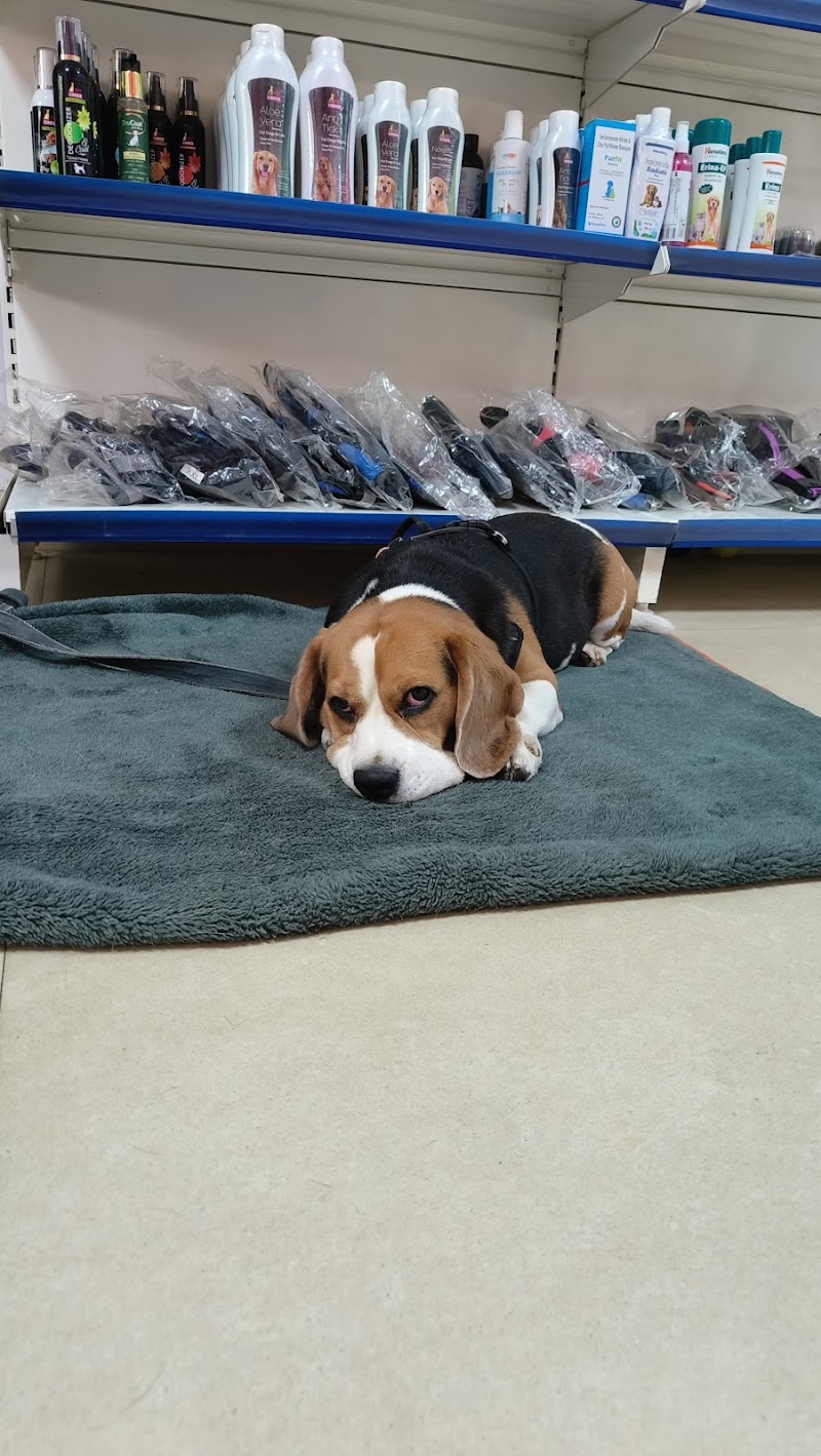 RS PET CLINIC