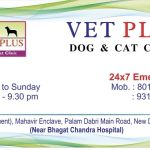 VET PLUS Dog & Cat Clinic South West Delhi