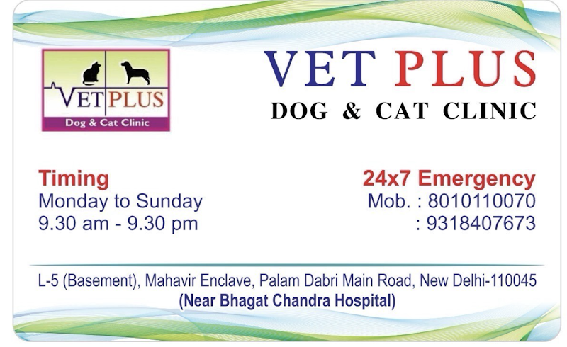 VET PLUS Dog & Cat Clinic South West Delhi