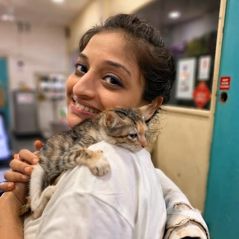The Feline Foundation Community Veterinary Clinic and Pet Store