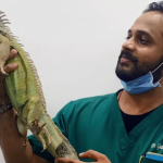SUNLIFE VETERINARY CARE