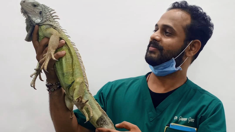 SUNLIFE VETERINARY CARE