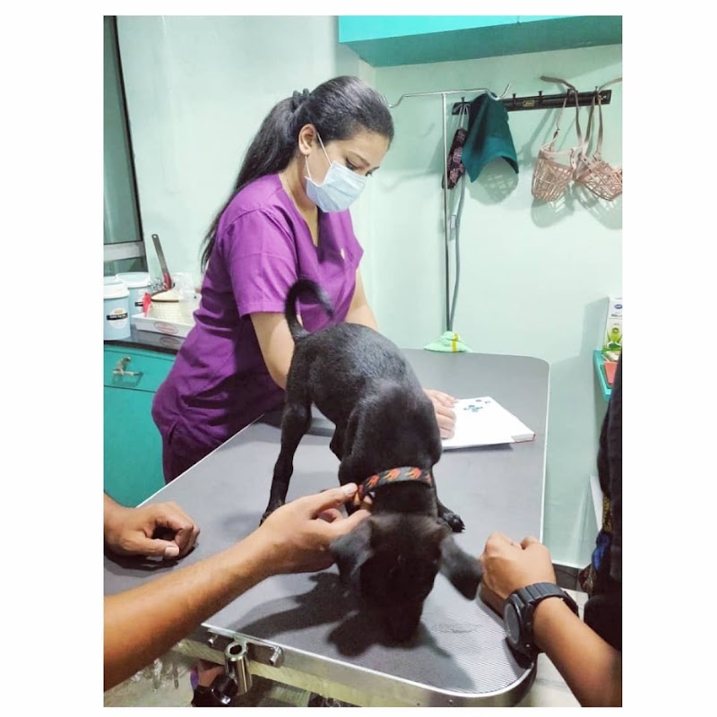 PETRIX – Dr Gautami’s Small Animal Clinic