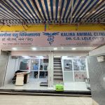Kalina Animal Clinic