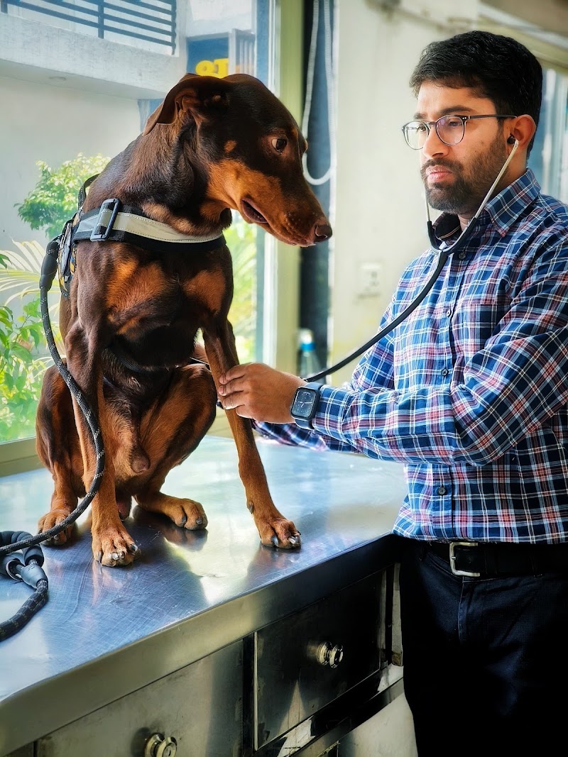 Torres Vet Clinic (Sai charitable polyclinic)