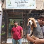 Dr Lele Malad Animal Clinic