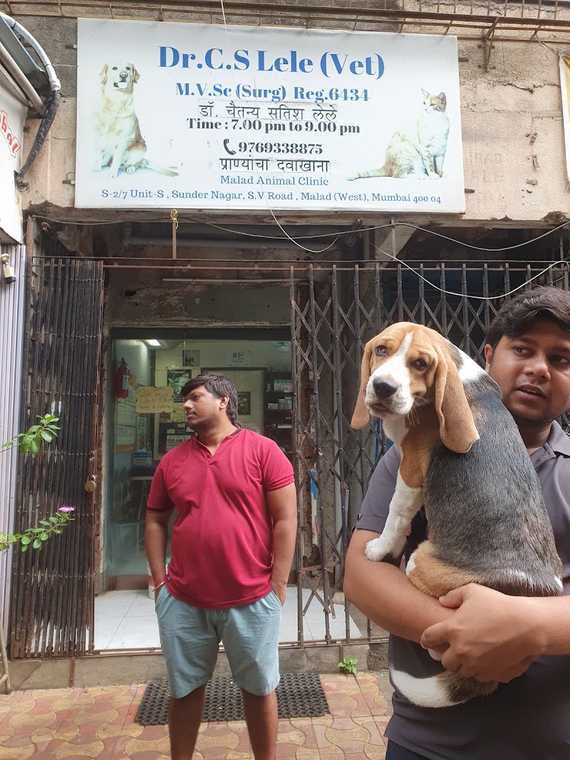 Dr Lele Malad Animal Clinic