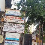 Pet Clinic