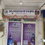 Blossom & Paws pet clinic