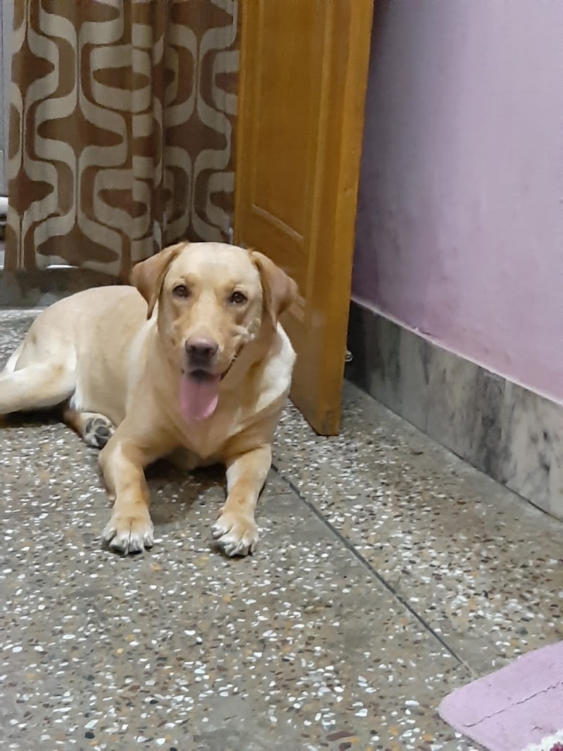 Happy Puppy Pet Clinic by Dr. Tarun Gangwar