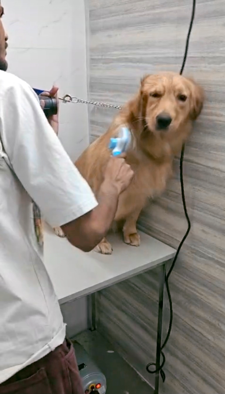 PetSphere (Pet Clinic, pet grooming & pet shop)