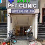 24×7 Pet Clinic