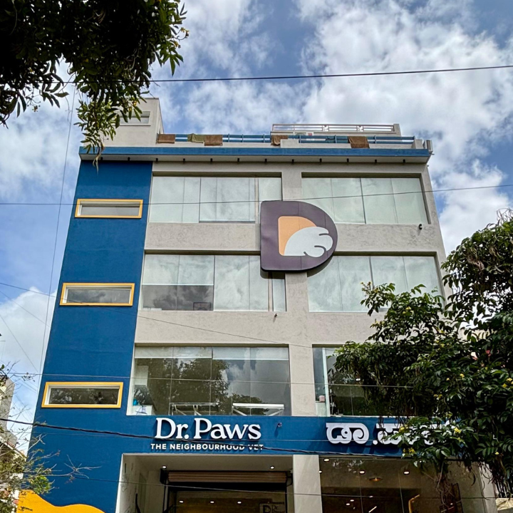 Dr. Paws RMV Dollars Colony | 24×7 Veterinary Hospital