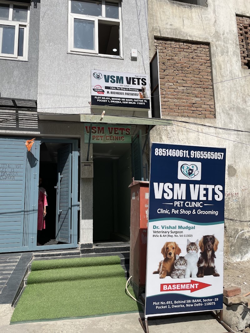 Vsm vets pet clinic