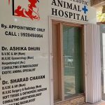 Small & Exotic Animal Hospital