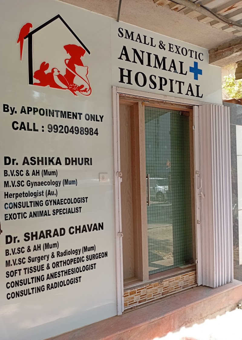 Small & Exotic Animal Hospital