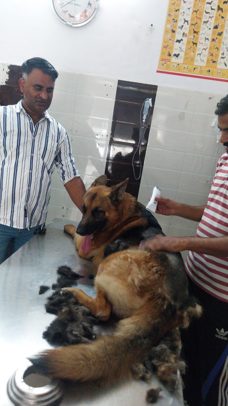 THE FAMILY PET CLINIC