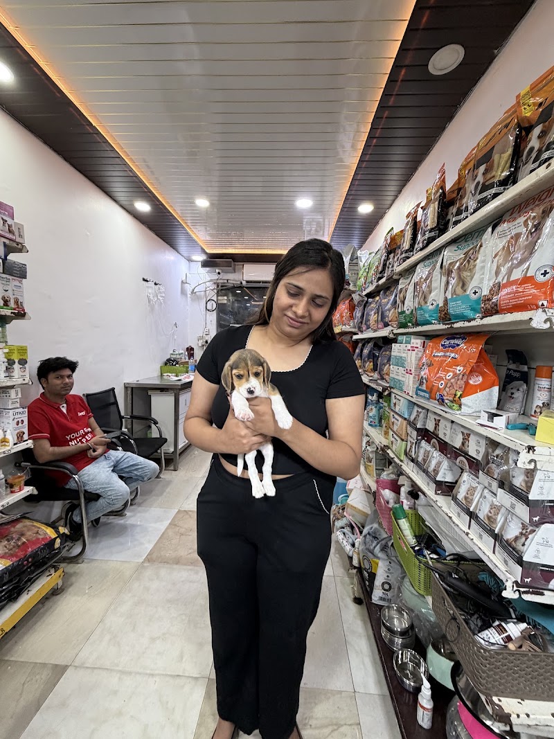 We Love Pet Clinic