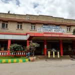 Veterinary Hospital