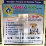 vets4pets Hospital Noida