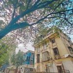Suresh VET