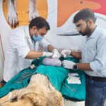 KIA VETERINARY CLINIC