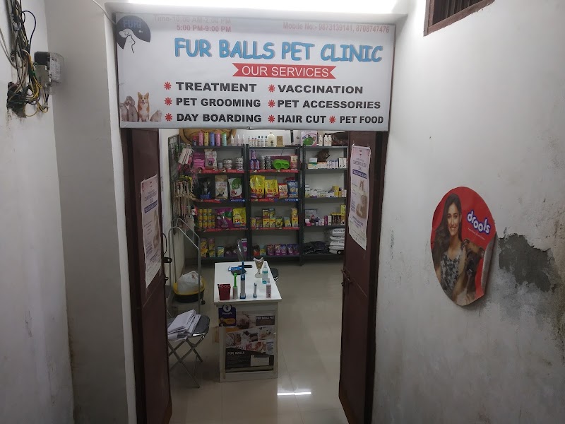 Fur balls pet clinic