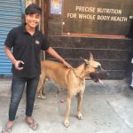 Dr. Vijay Pet Clinic