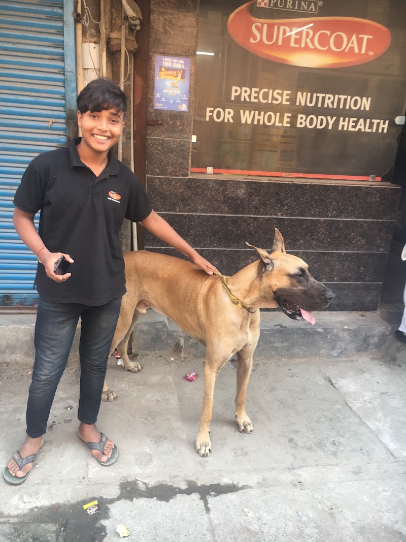 Dr. Vijay Pet Clinic