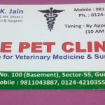 Dr. Vinay K Jain