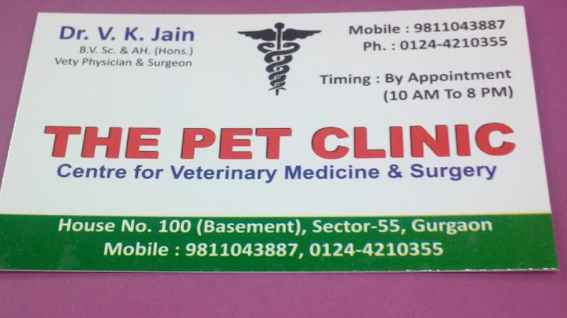 Dr. Vinay K Jain