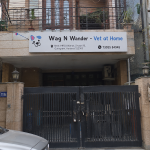 Wag N Wander Vet at Home