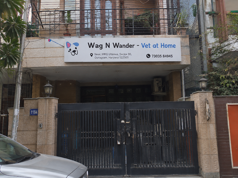 Wag N Wander Vet at Home