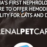 RENALPETCARE INDIA