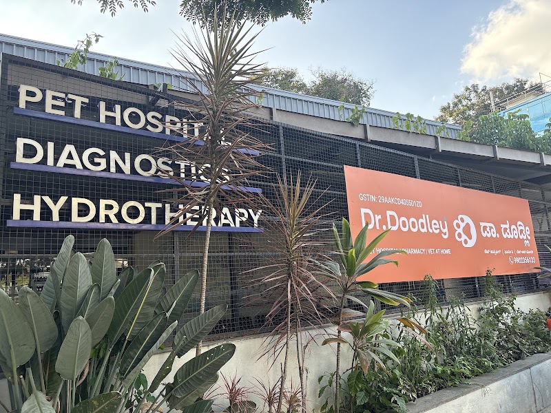 Dr. Doodley Pet Hospital Whitefield – 24×7