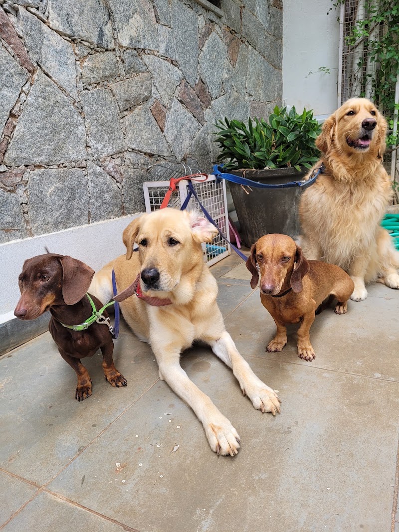 Dr Prasad’s Pet Clinic