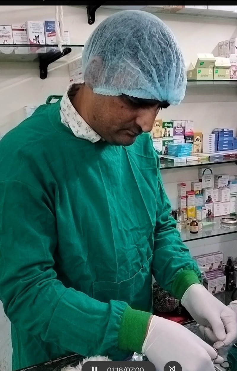 MAX PET CLINIC – PET CLINIC IN DELHI