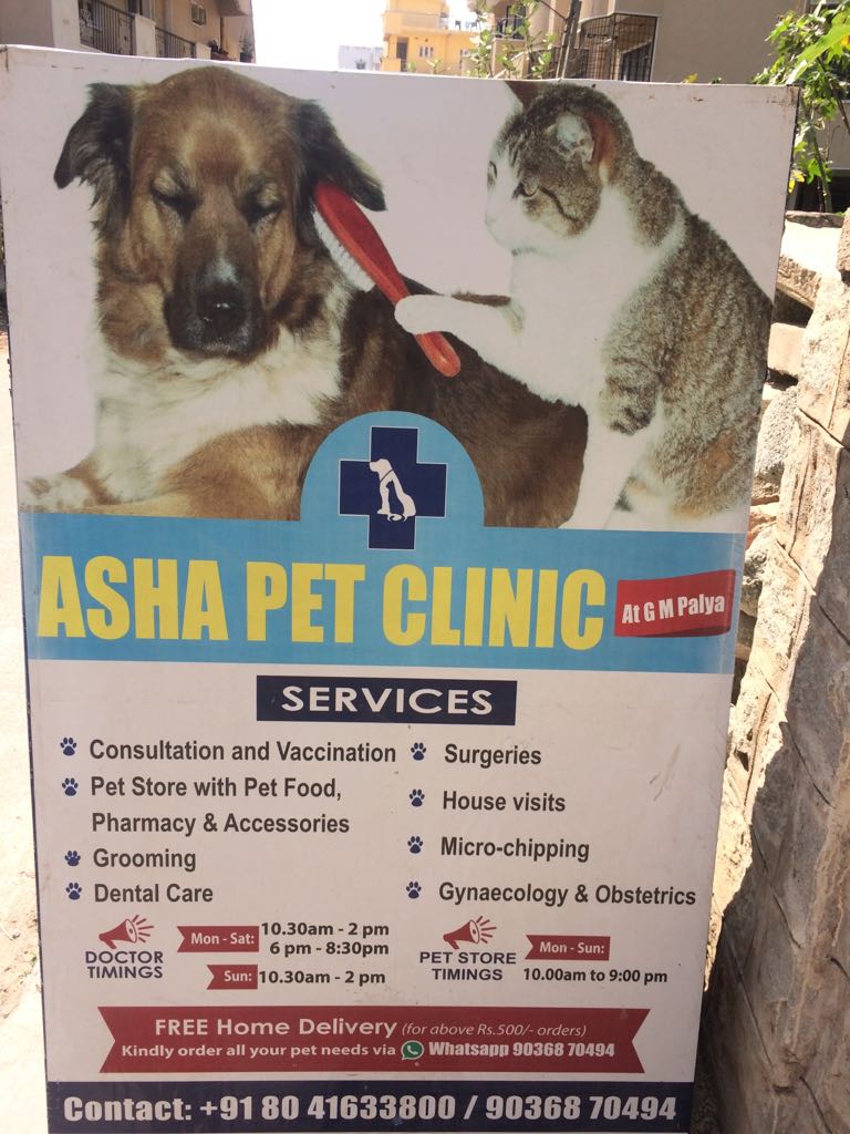ASHA PET CLINIC